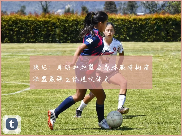 狼记：库明加加盟后森林狼将构建联盟最强立体进攻体系